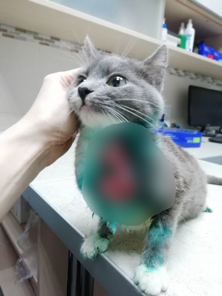 Пенсионерка пыталась "лечить" малышку спиртом и зеленкой