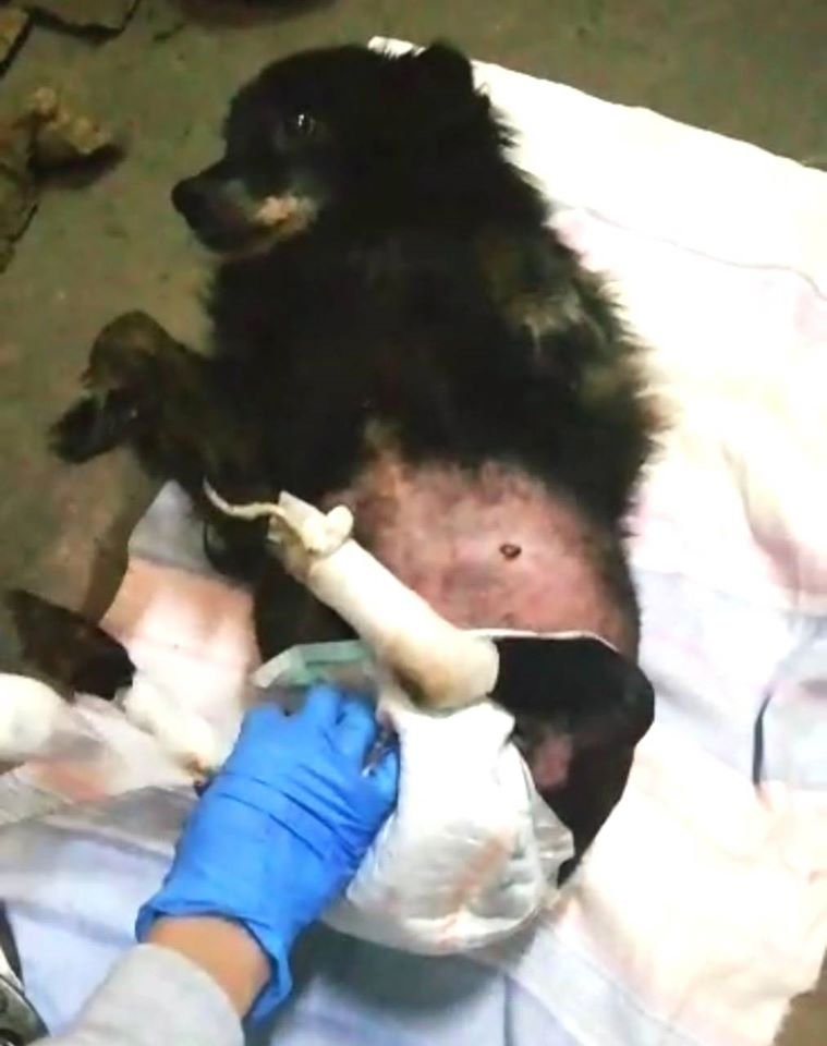 Малышка хочет жить Малышка хочет жить