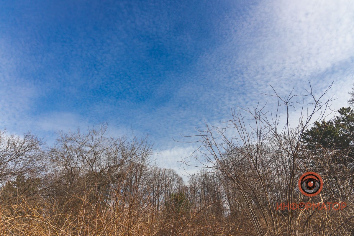 Небо в крапинку Небо в крапинку