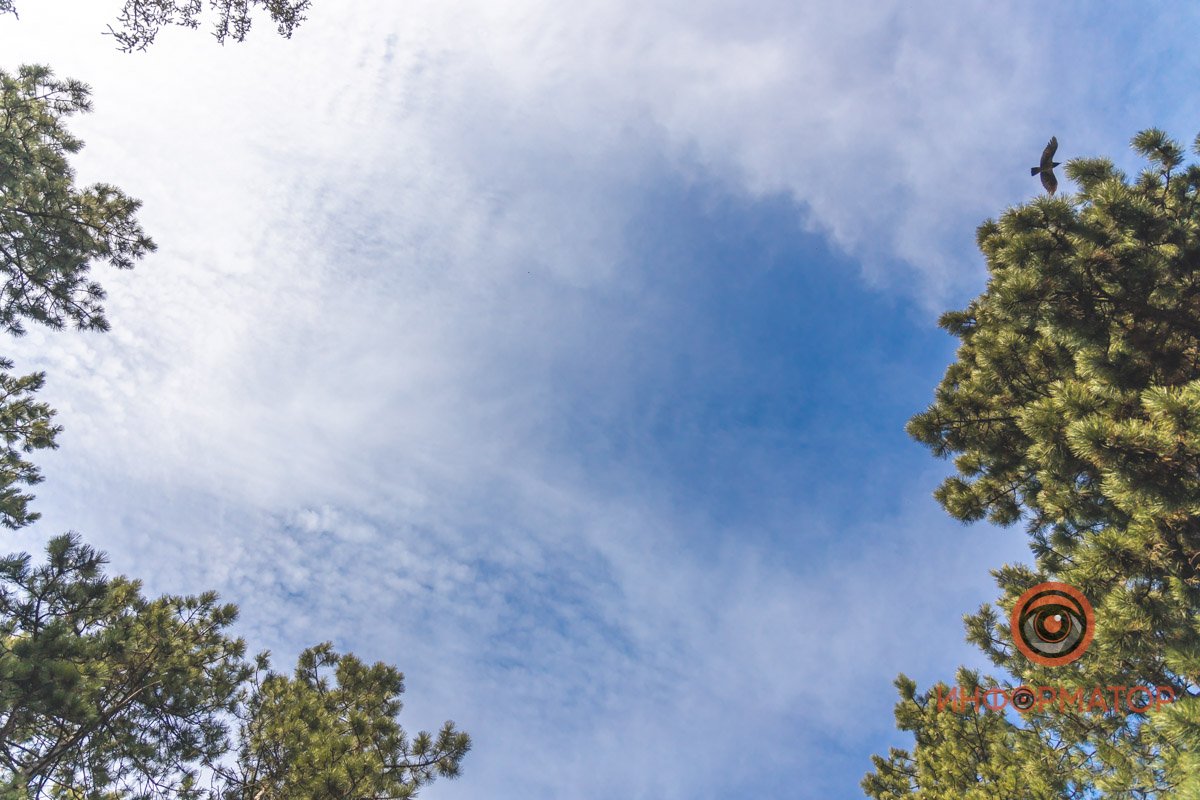 Весна на пороге Весна на пороге