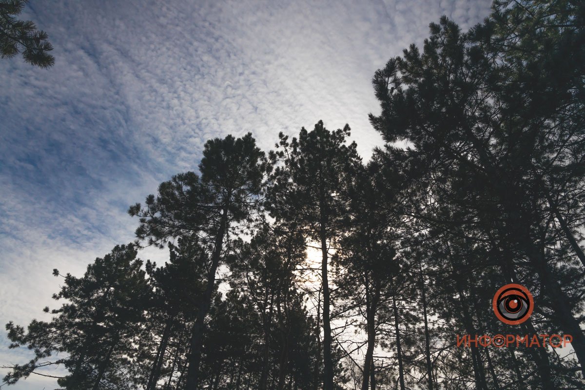 Вдыхайте запах весны  Вдыхайте запах весны