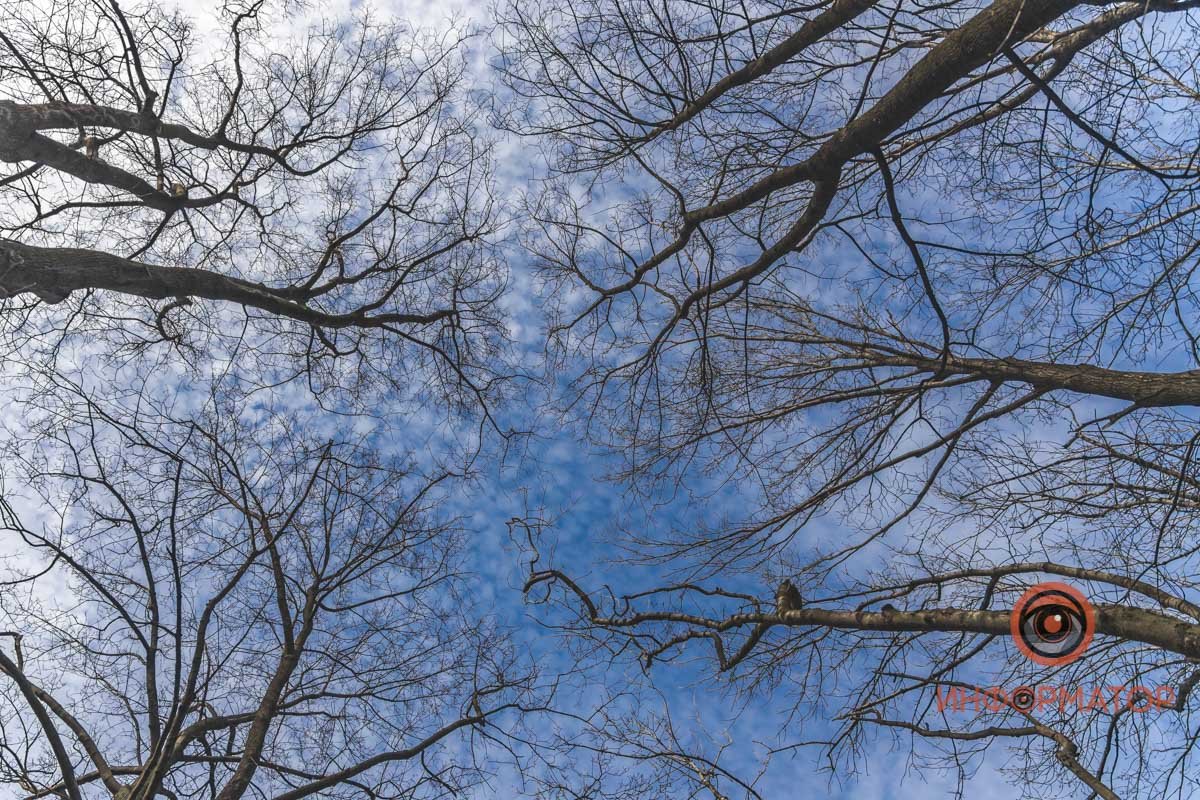 Можно смотреть вечно Можно смотреть вечно