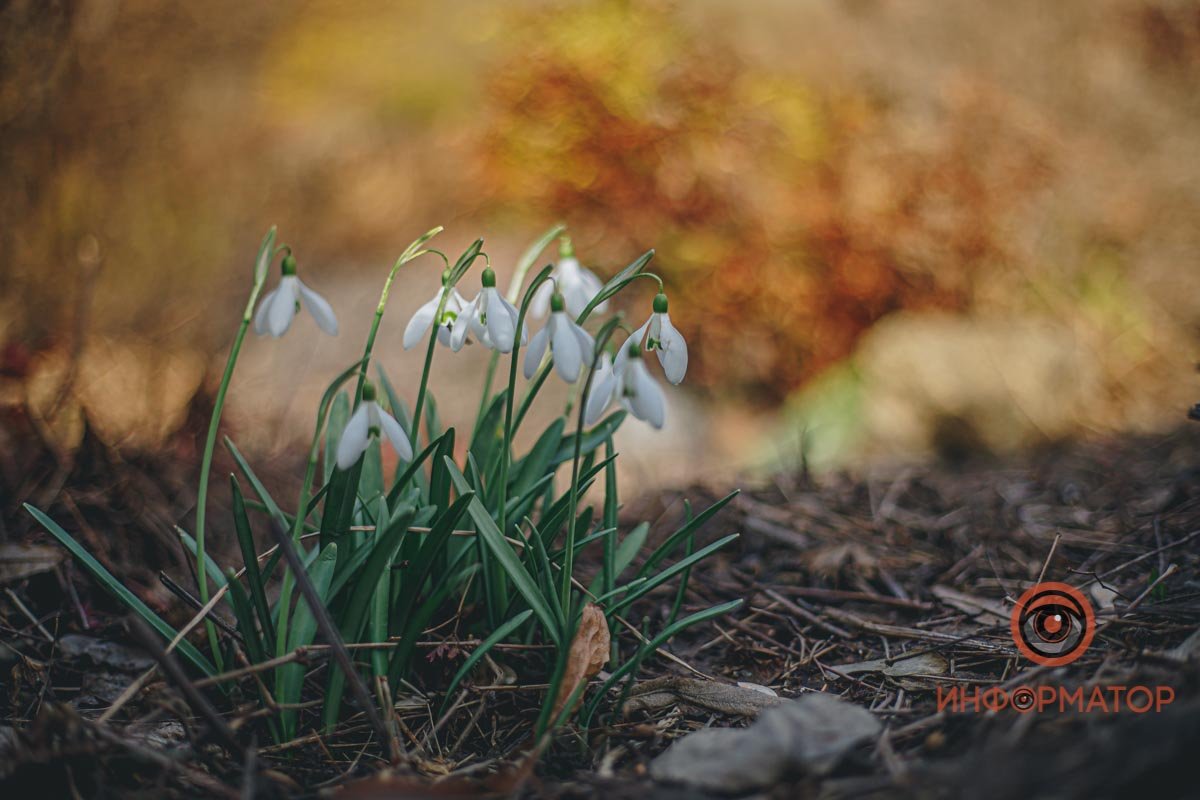 Время цвести Время цвести