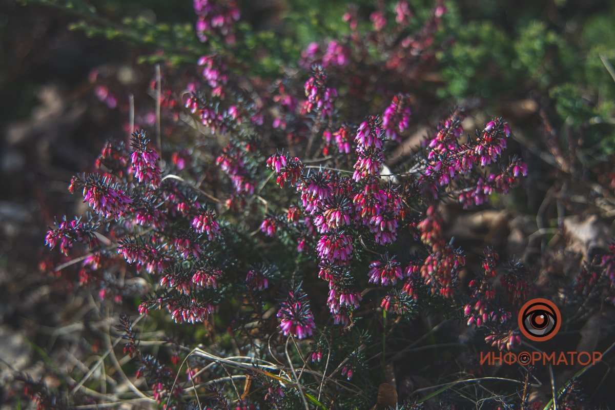 Больше красок  Больше красок