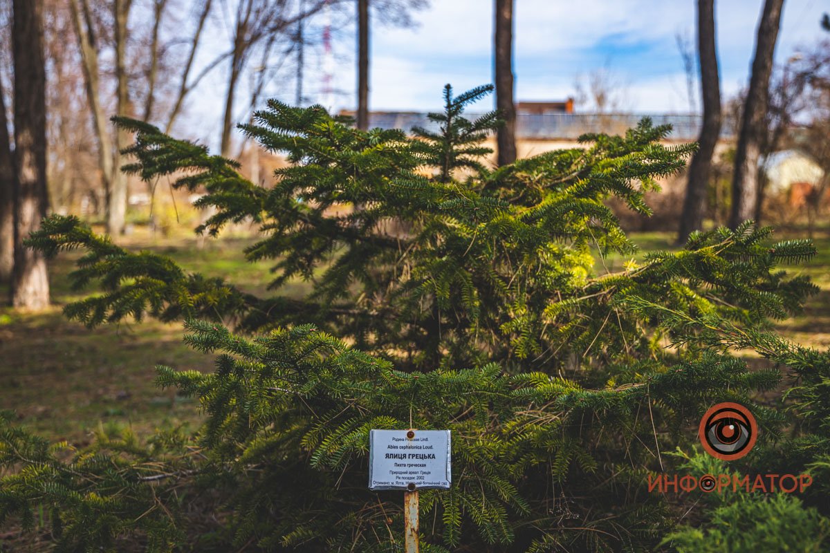 Приходите в сад Приходите в сад