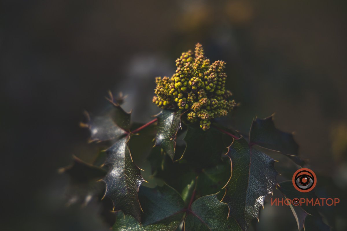 Наслаждайтесь погодой Наслаждайтесь погодой