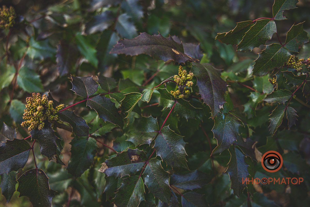 Вот, куда стоит сходить в свободное время Вот, куда стоит сходить в свободное время