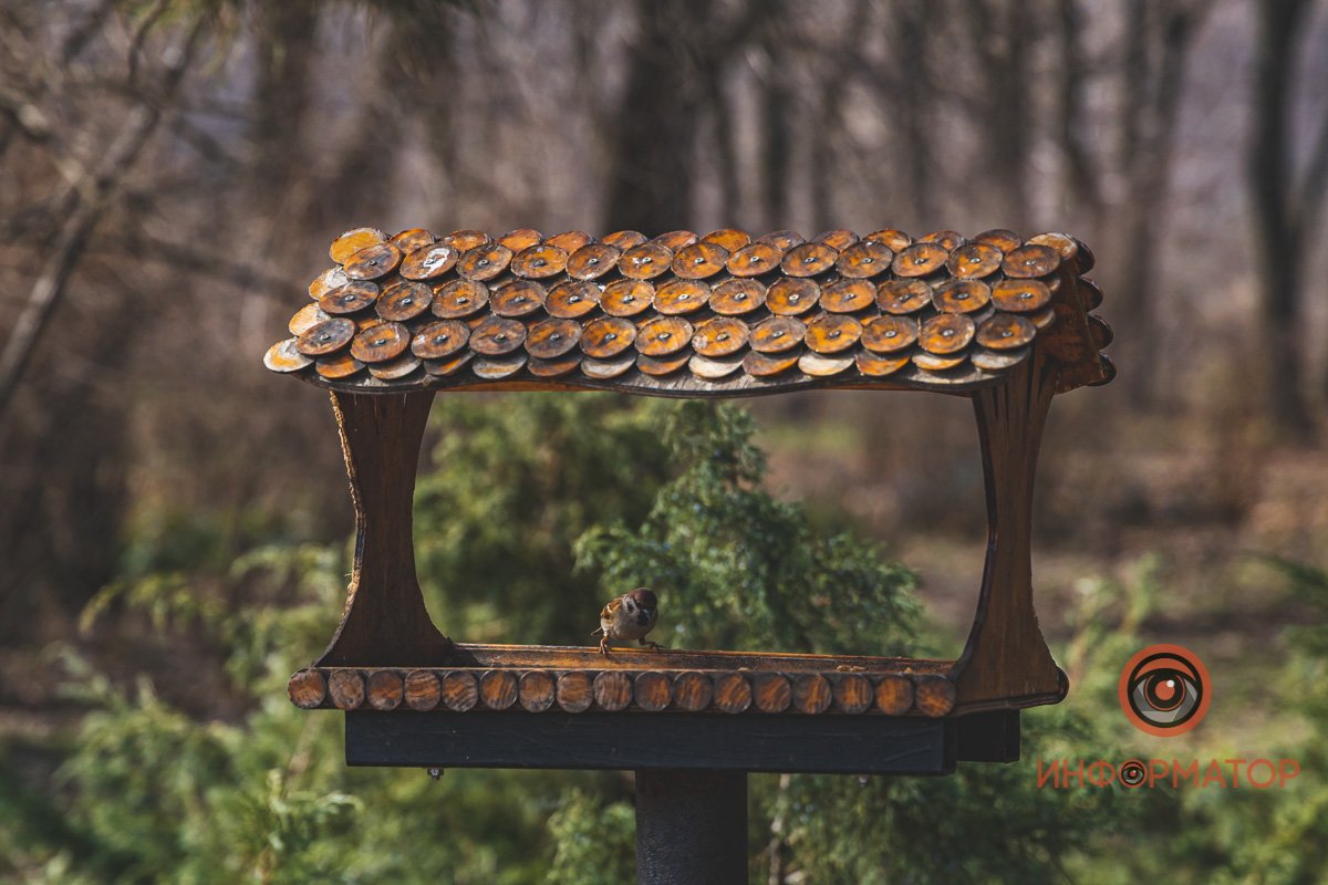 Привет, весна Привет, весна