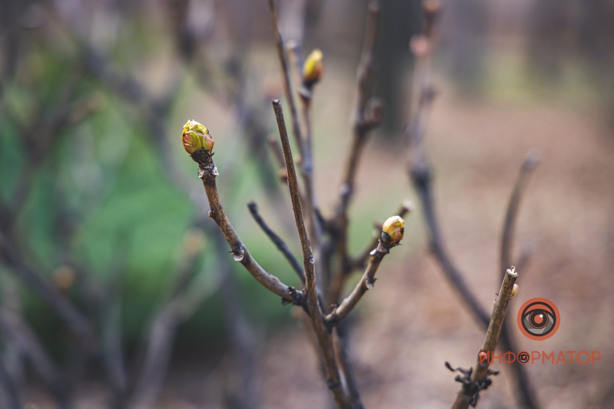 Время для долгих прогулок Время для долгих прогулок