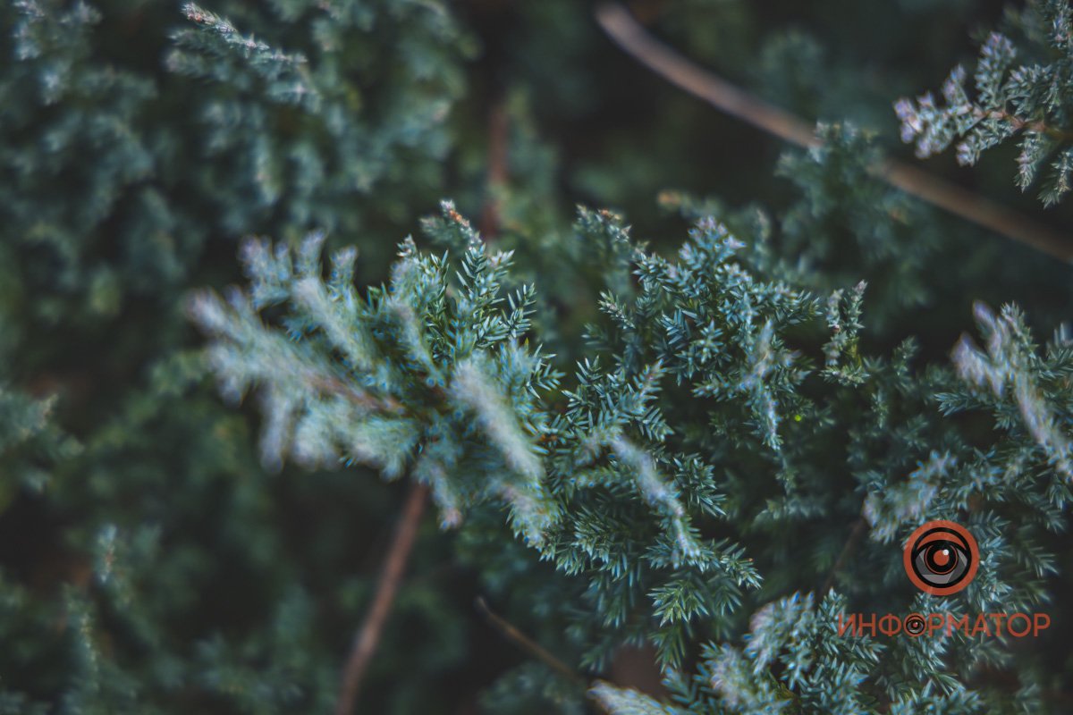 Можно смотреть вечно Можно смотреть вечно