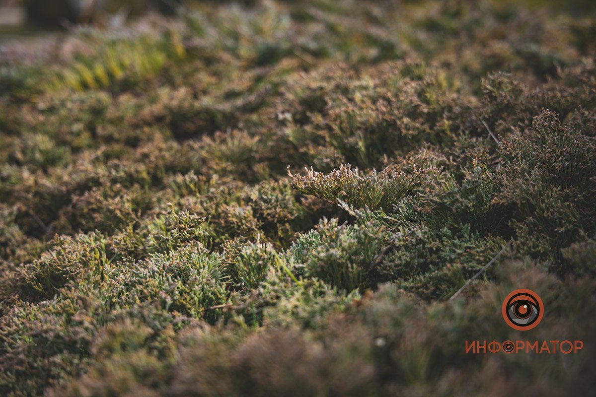 Наш оператор - молодец Наш оператор - молодец