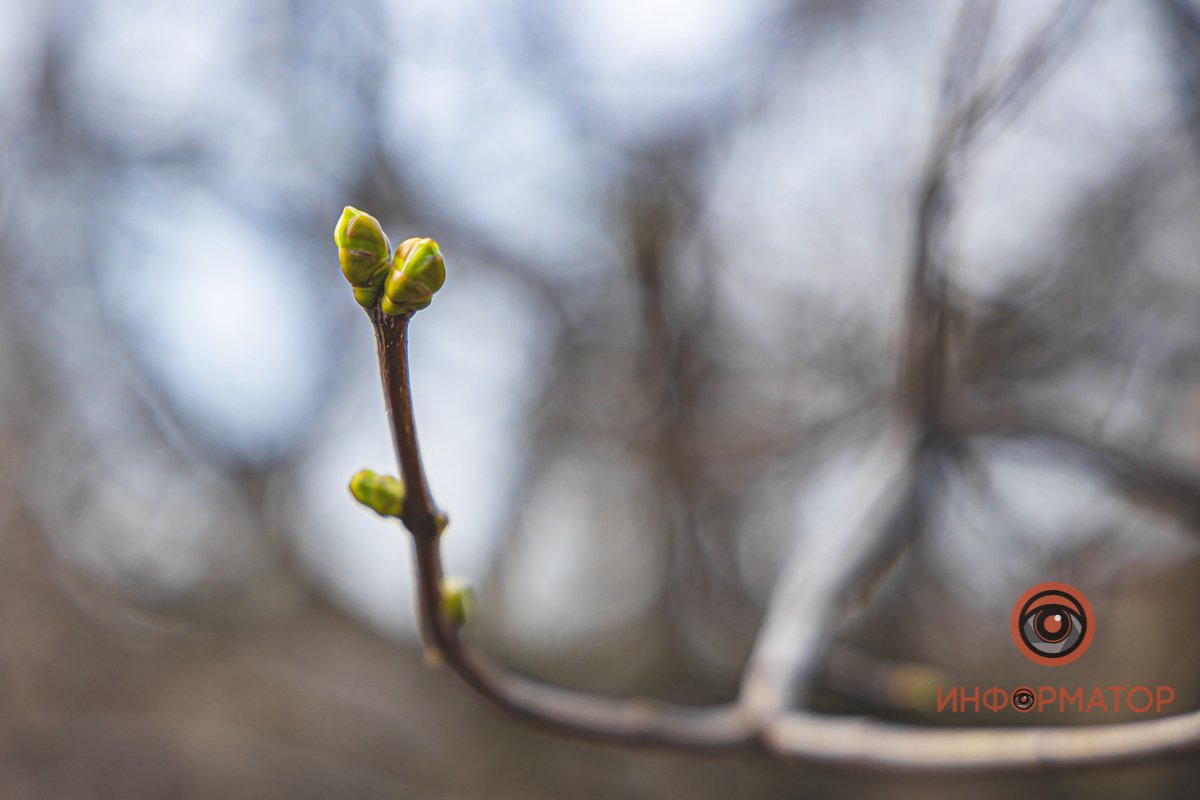 Наконец тепло! Наконец тепло!