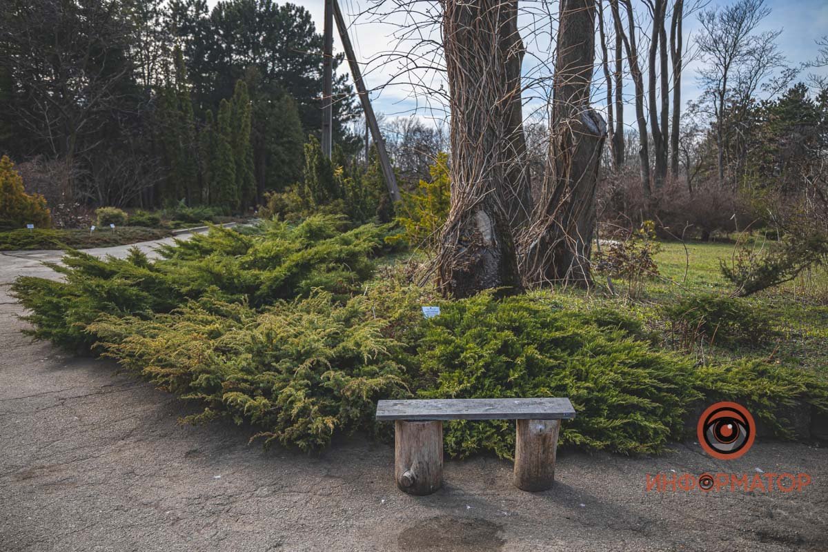 Скорее выходите гулять Скорее выходите гулять