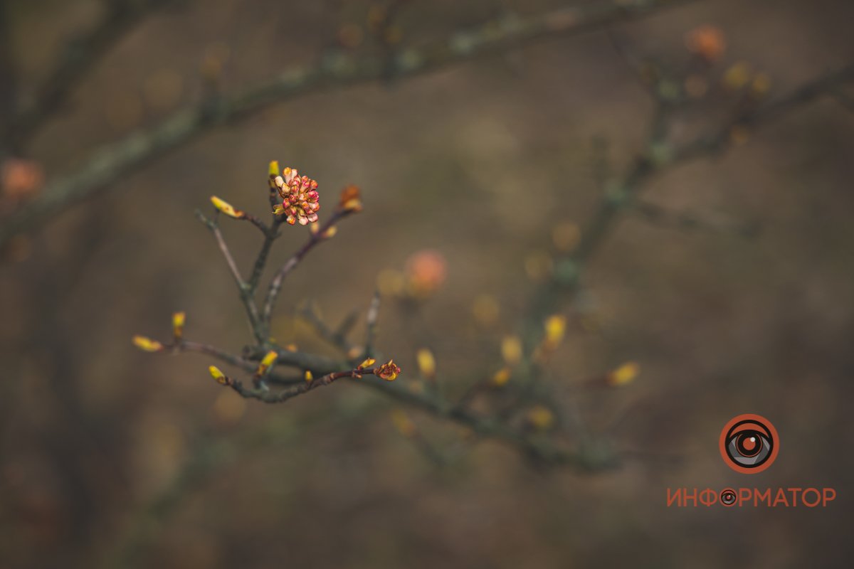 Прекрасно Прекрасно