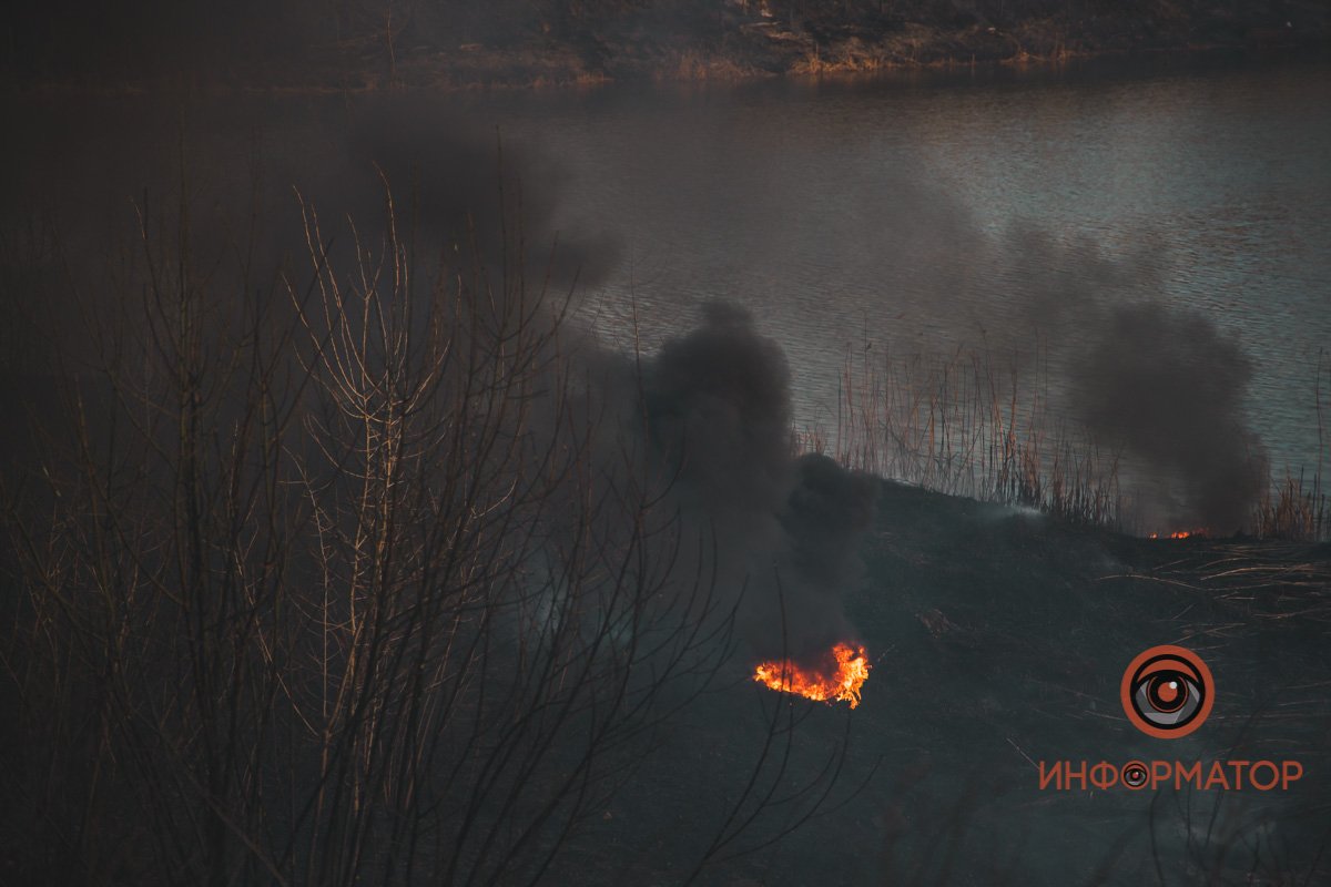 В Днепре в районе Байкальской горел камыш: дымом затянуло весь район 1
