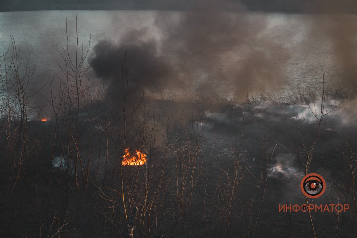 В Днепре в районе Байкальской горел камыш: дымом затянуло весь район 2