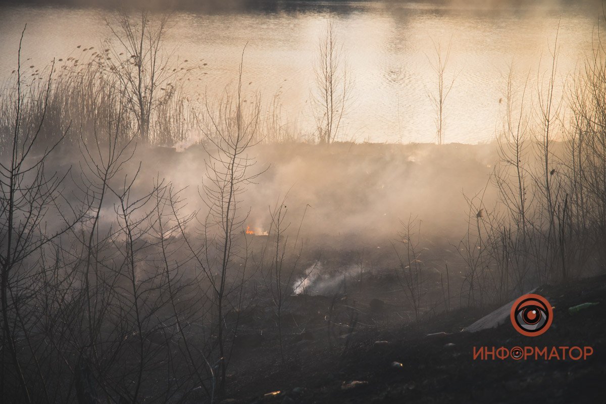 В Днепре в районе Байкальской горел камыш: дымом затянуло весь район 3