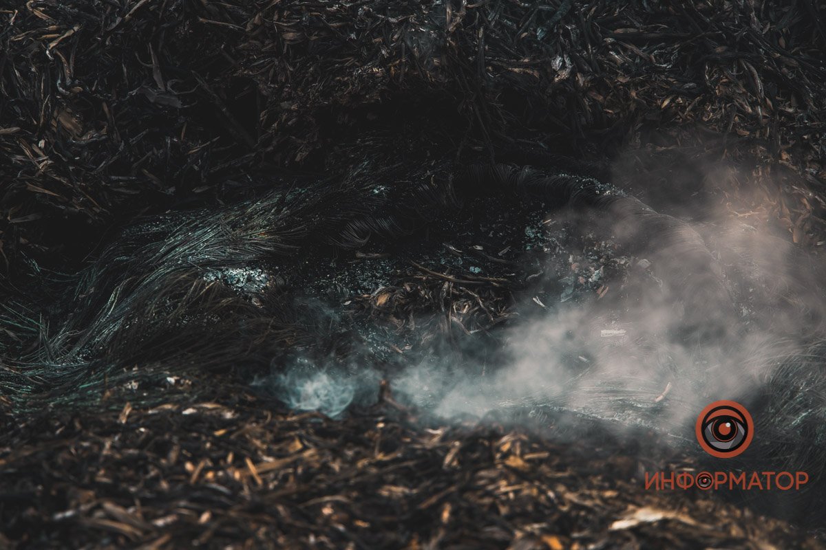 В Днепре в районе Байкальской горел камыш: дымом затянуло весь район 4