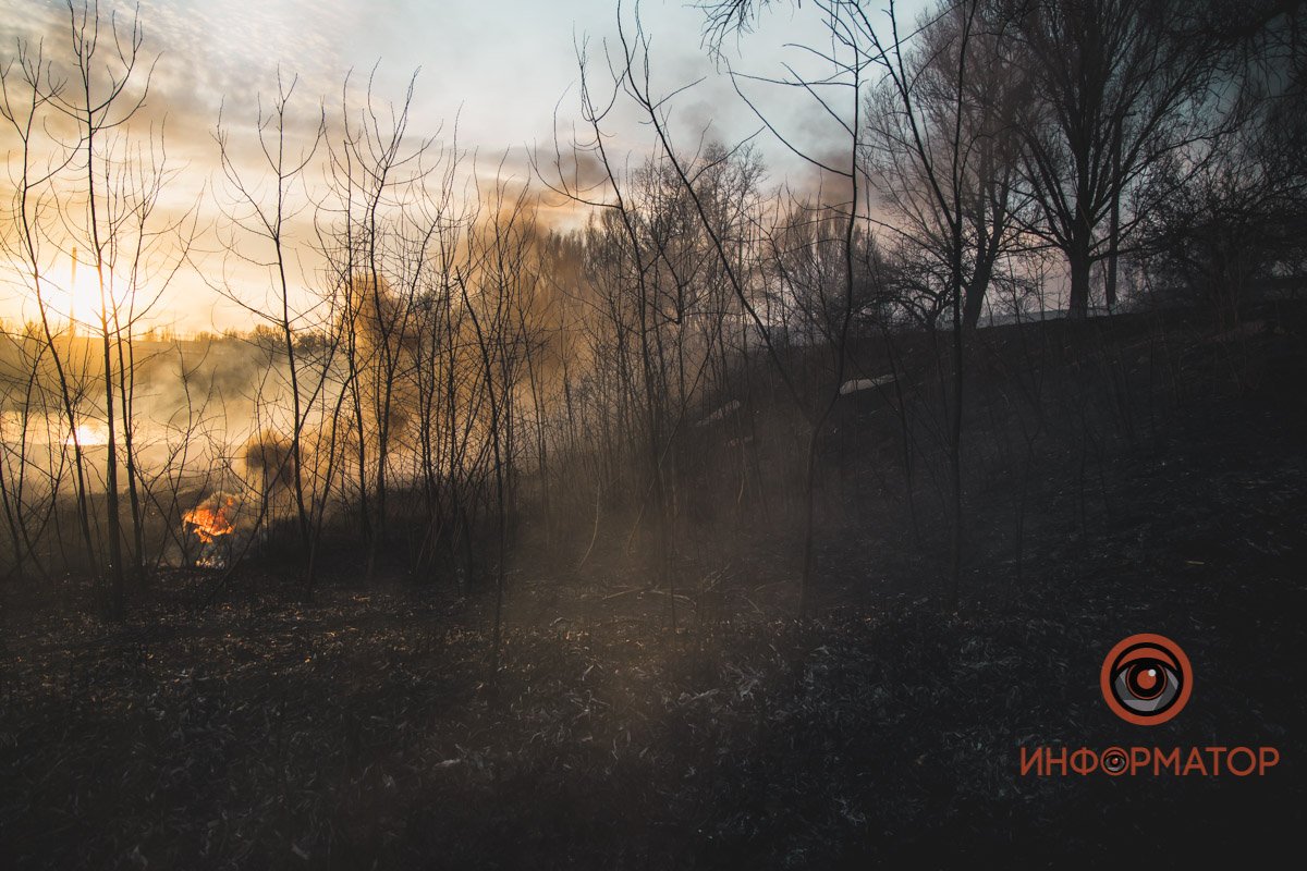 В Днепре в районе Байкальской горел камыш: дымом затянуло весь район 5