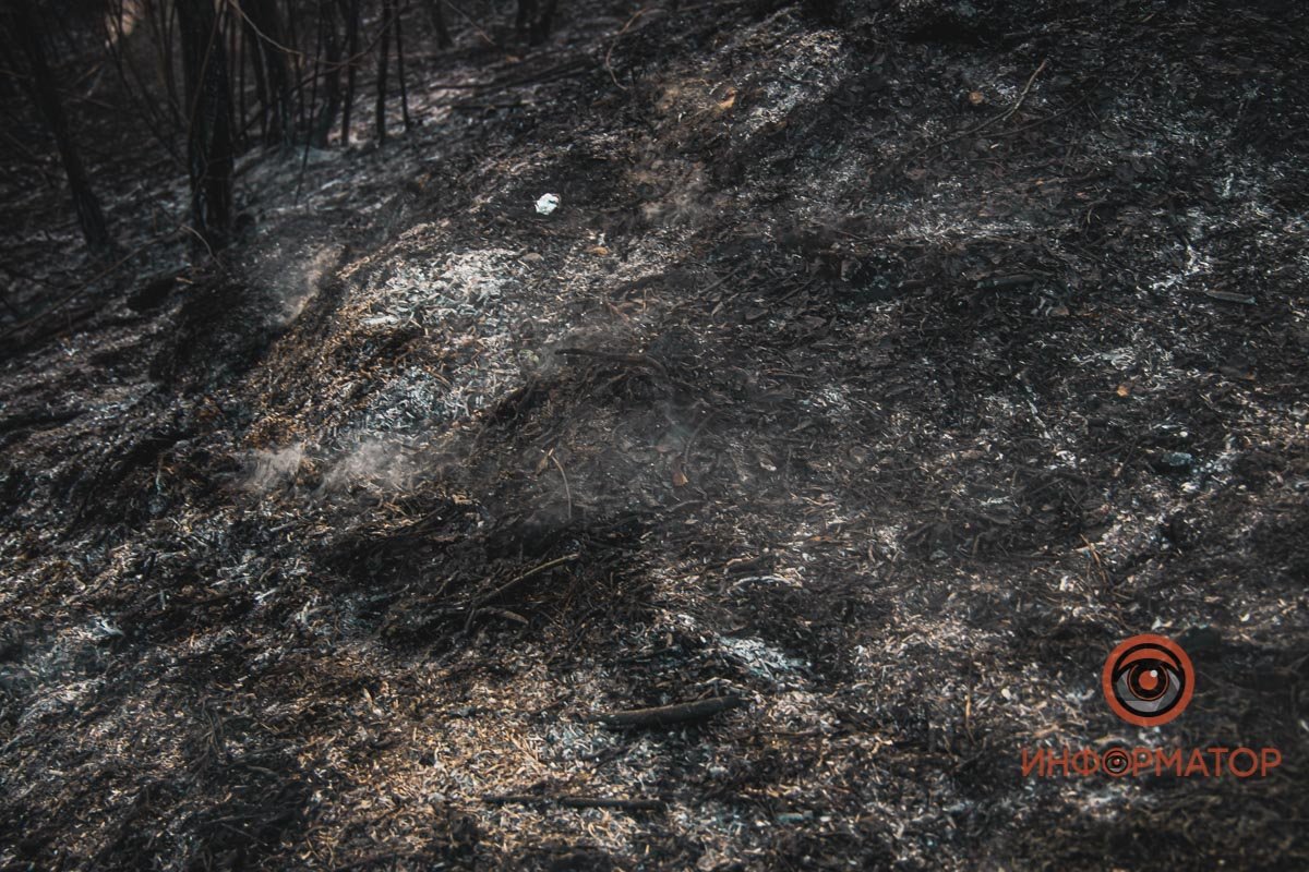 В Днепре в районе Байкальской горел камыш: дымом затянуло весь район 8