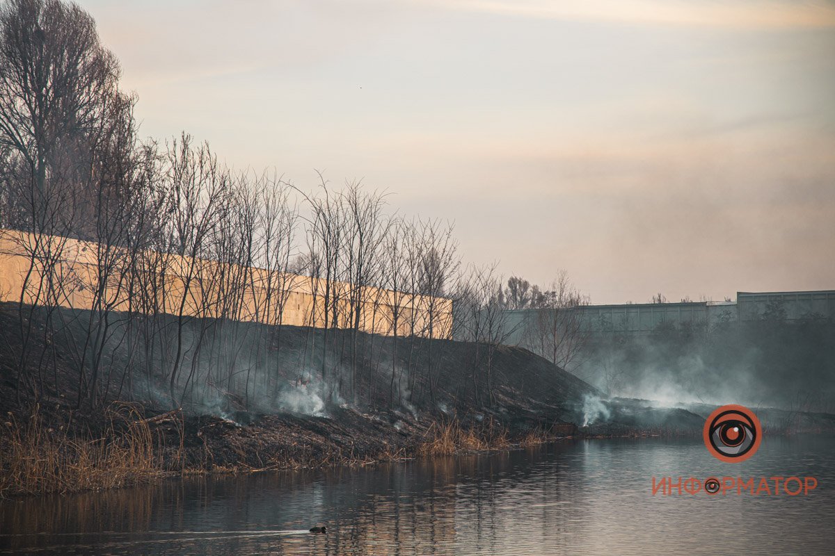 В Днепре в районе Байкальской горел камыш: дымом затянуло весь район 9