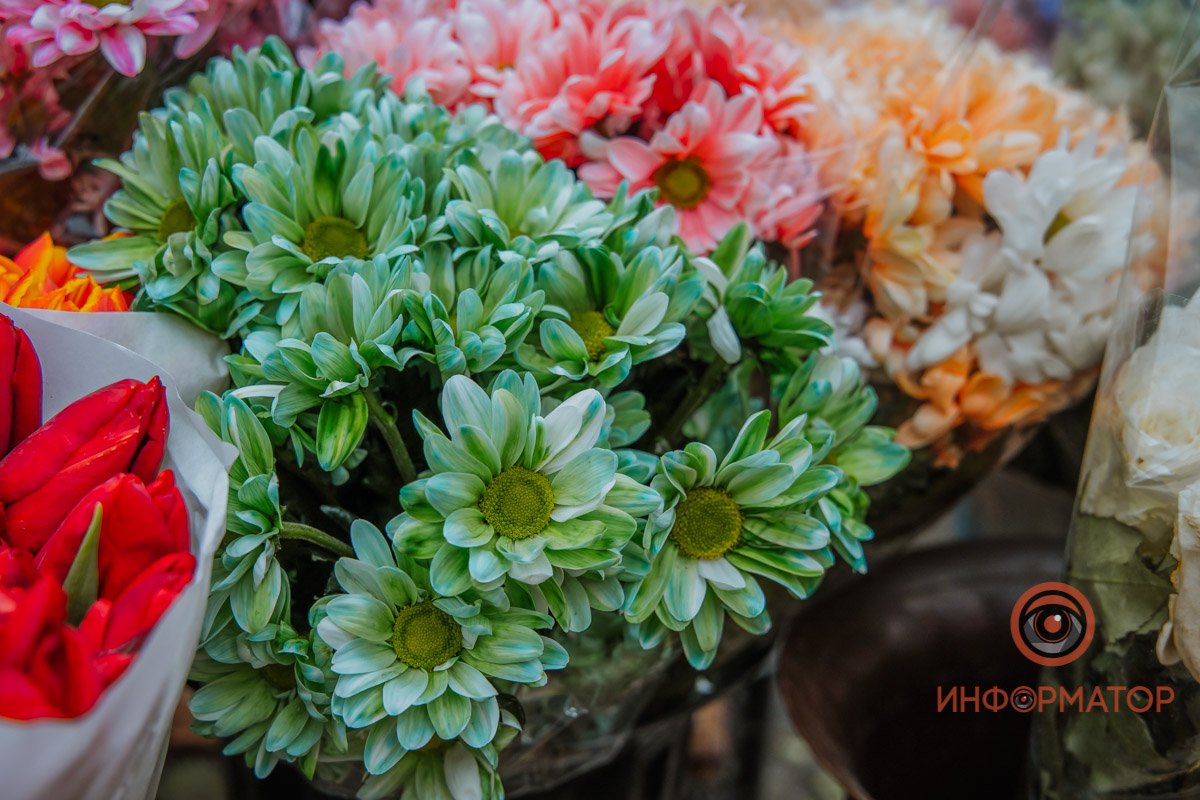 В какую цену обойдется 8 марта: цены на цветы в преддверии праздника 3