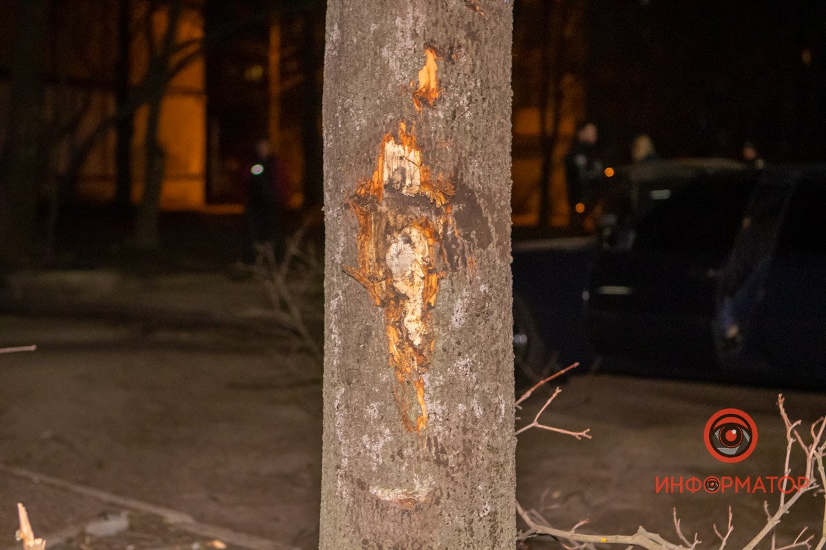 Водитель не справился с управлением Водитель не справился с управлением