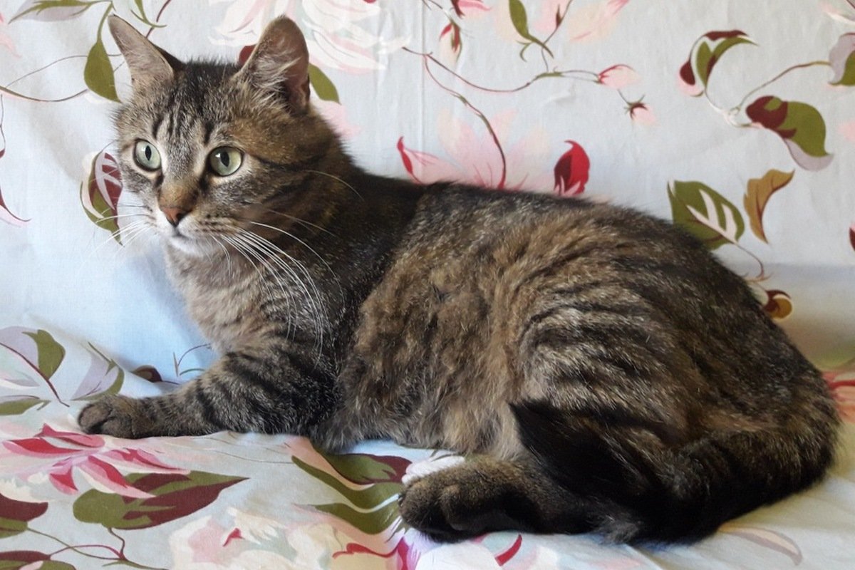 Милый кусь с бесконечным запасом нежности