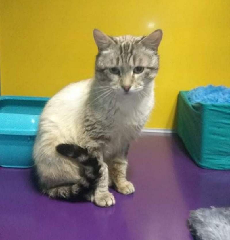 Грустный Гоша готов учиться, но от вас нужно немного терпения