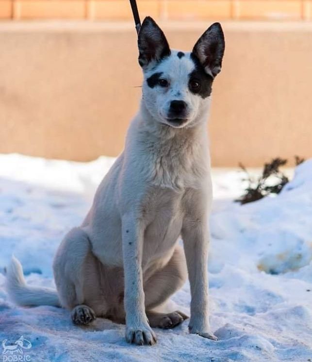 Малышка заслуживает лучшей жизни