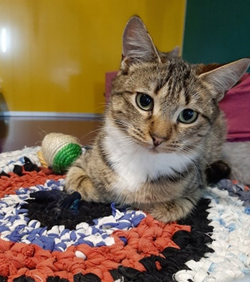 В этих глазках целая Вселенная *_*