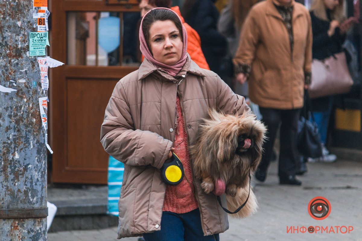 С каждым днем прогулки с домашними питомцами становятся приятнее