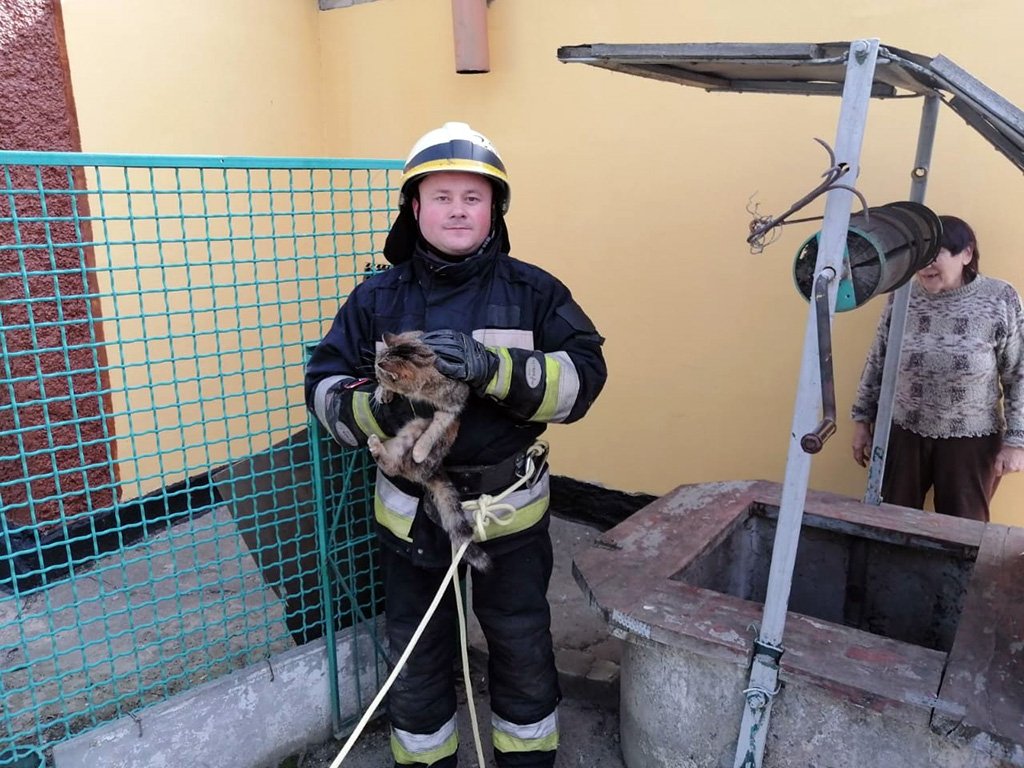 Котище спасен Котище спасен