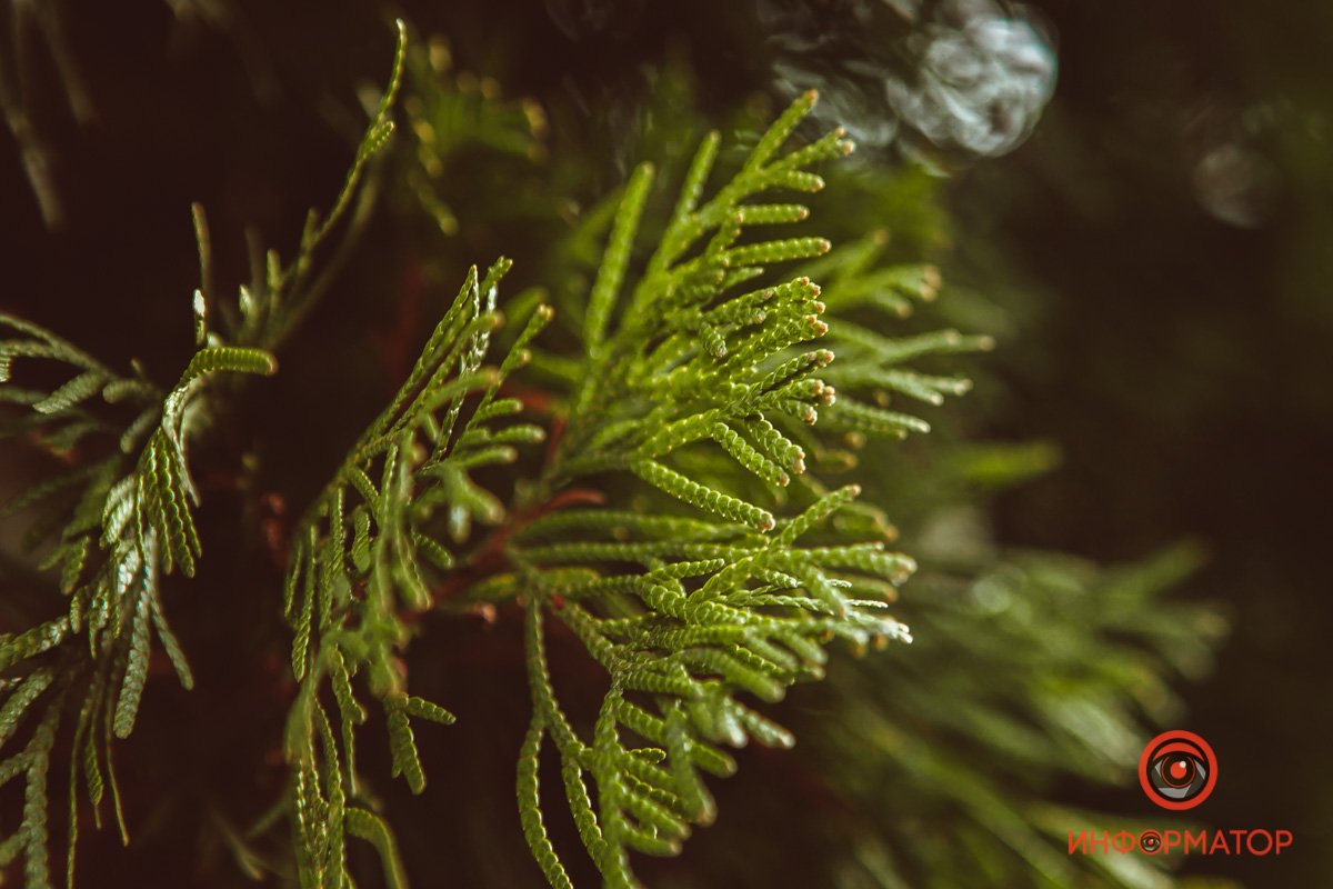 Совсем тепло Совсем тепло