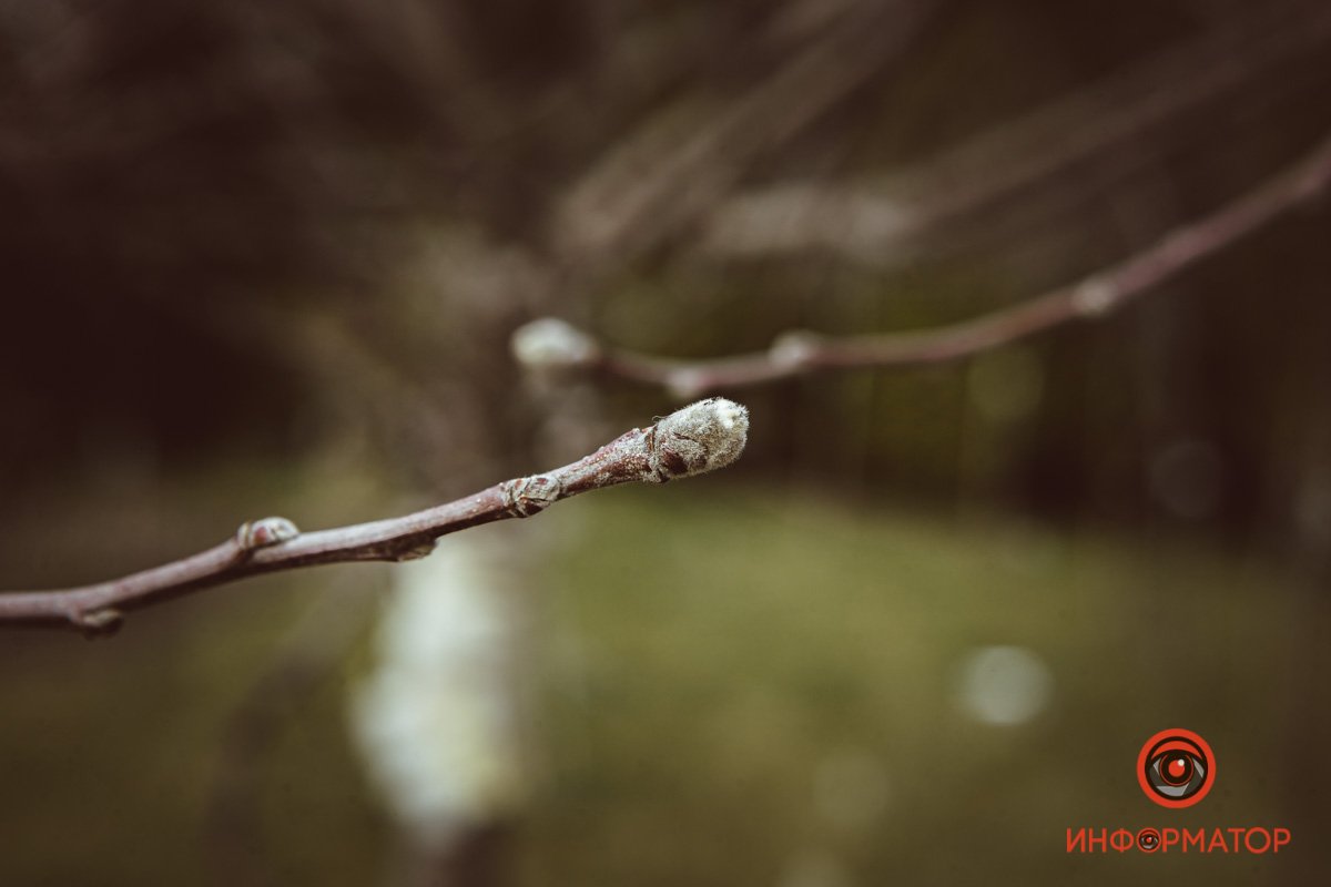 Скорее гулять Скорее гулять