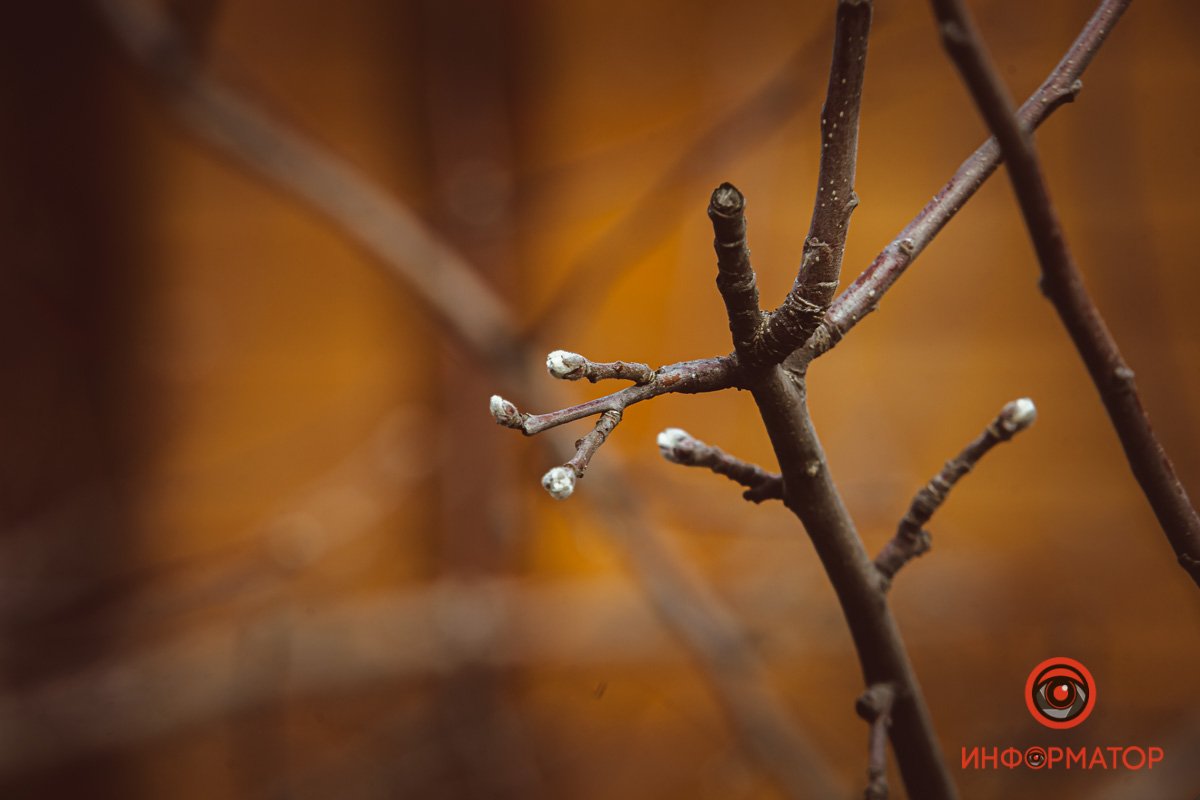 Уже почти тепло Уже почти тепло