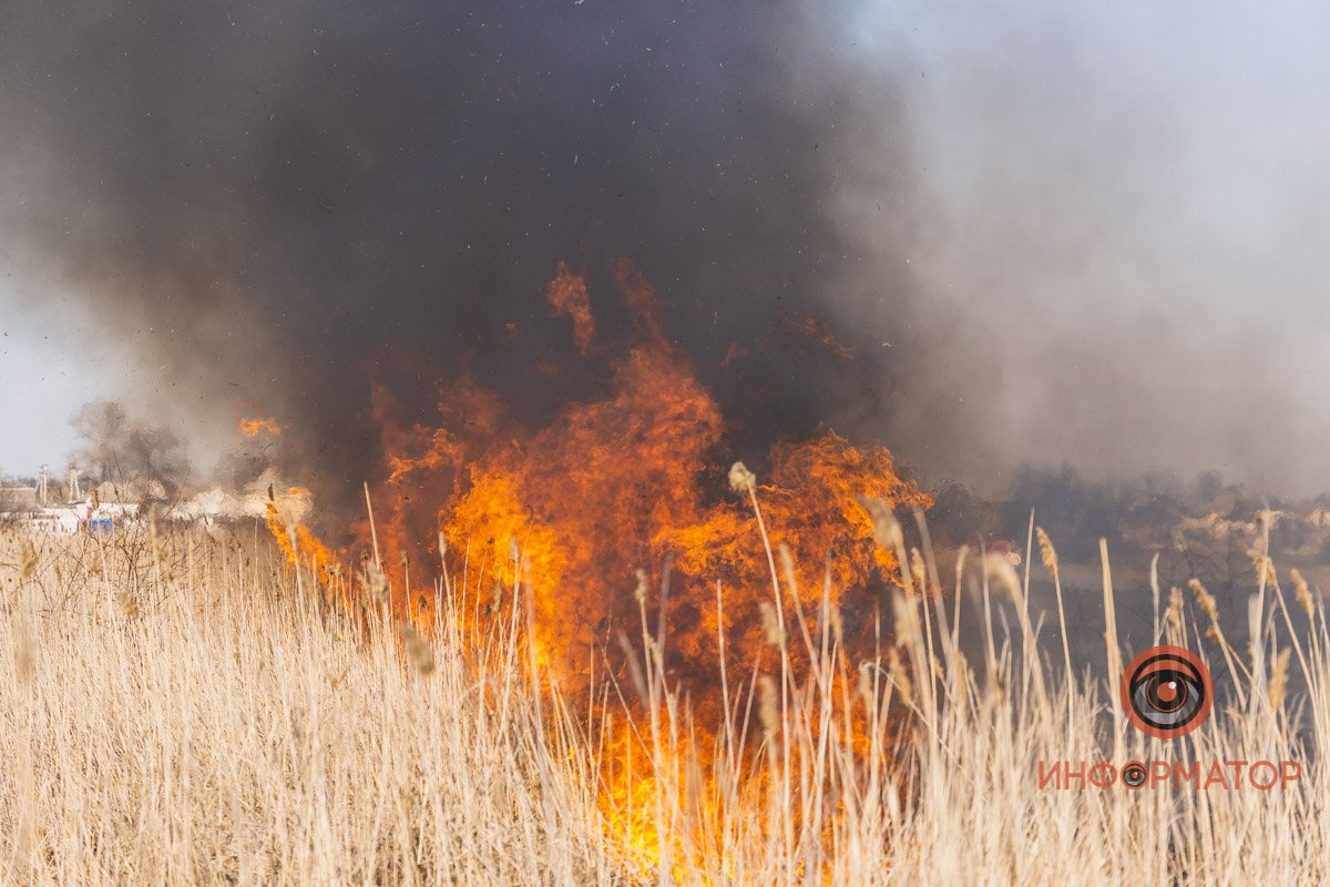 О возгорании в Службу спасения сообщили около 14:35 О возгорании в Службу спасения сообщили около 14:35