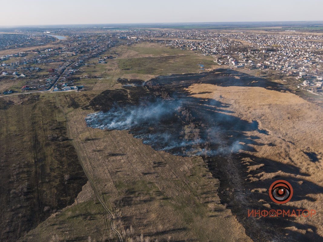 Площадь пожара в общем составила 2 гектара Площадь пожара в общем составила 2 гектара