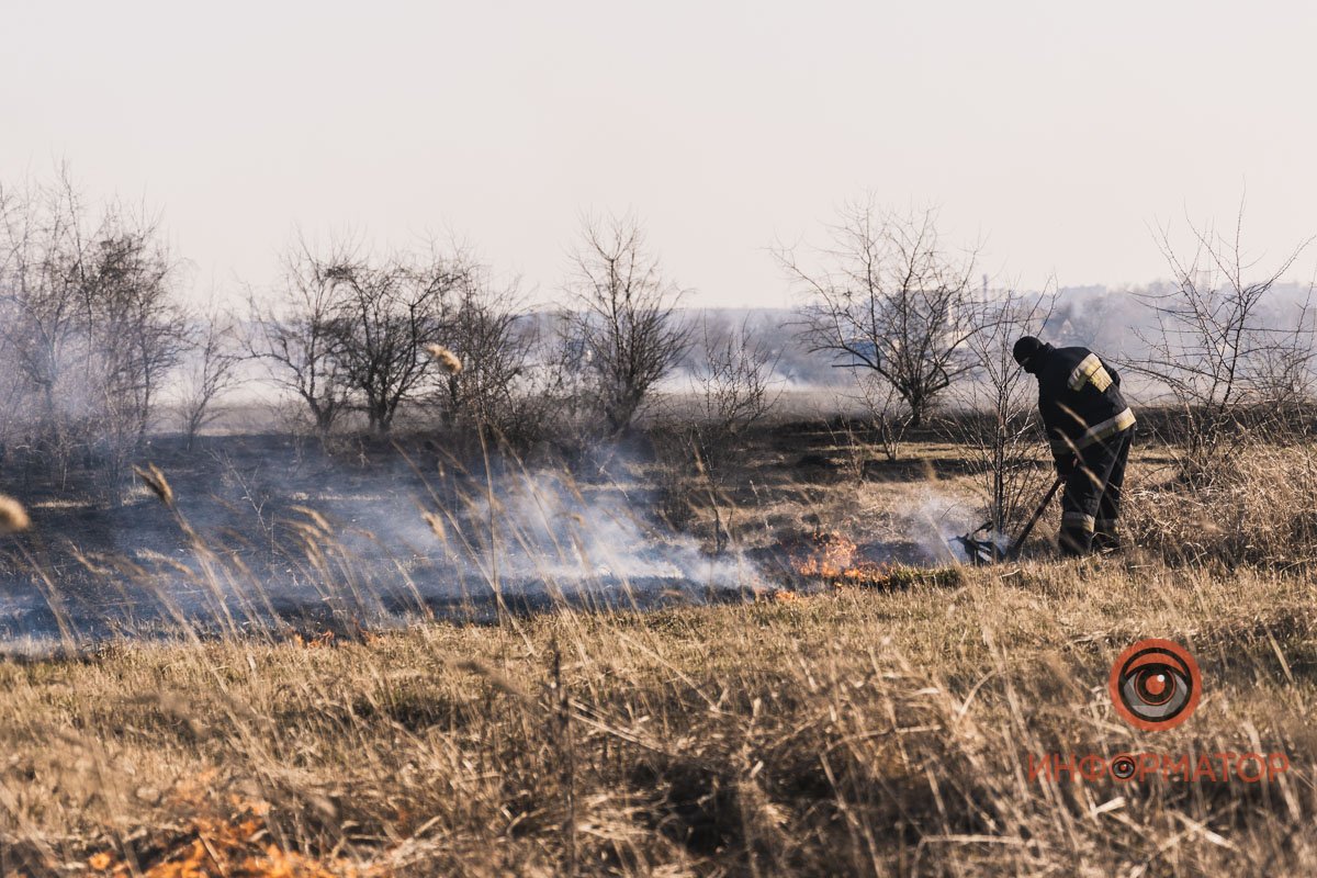 Спасатели использовали хлопалки для тушения травы Спасатели использовали хлопалки для тушения травы
