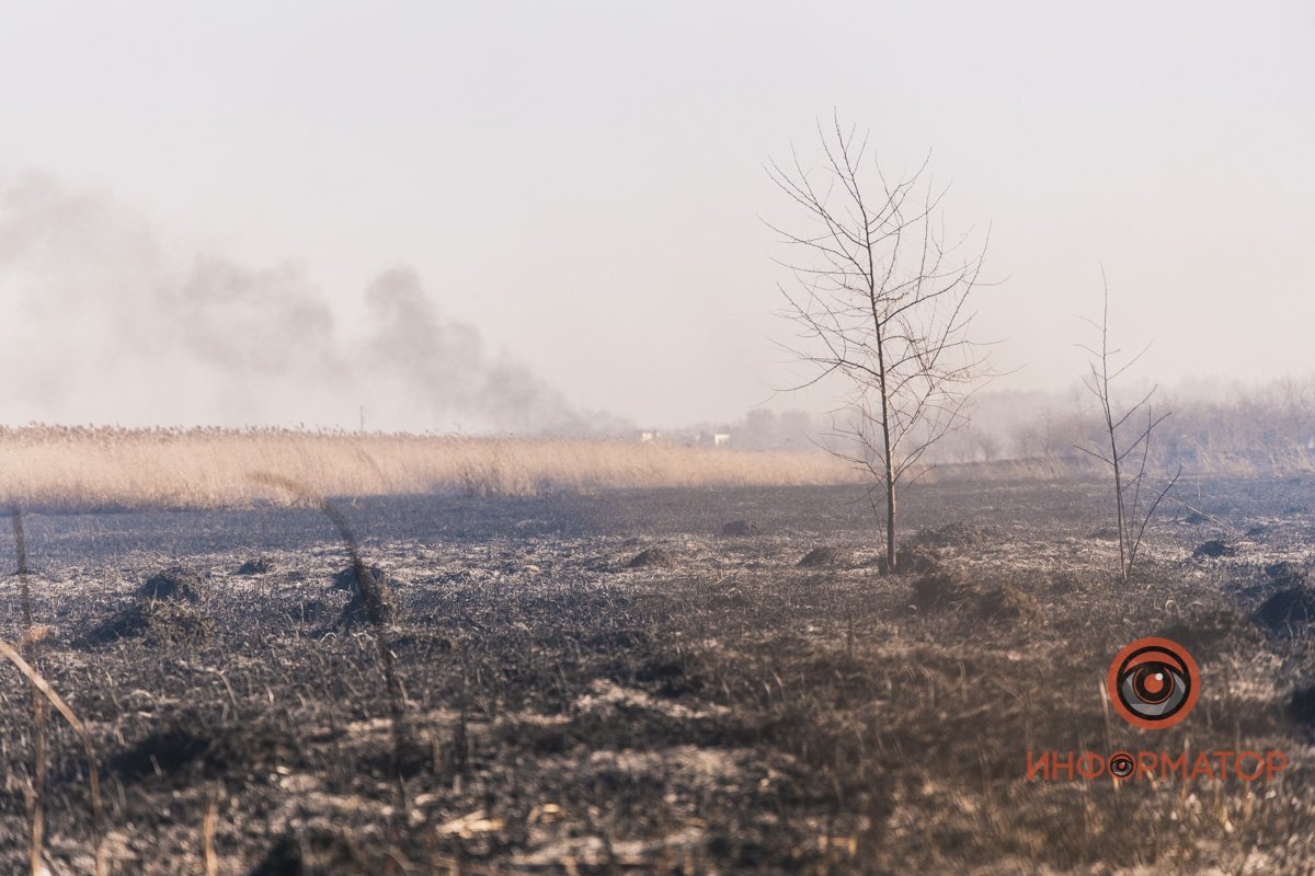 Пожар не оставляет после себя ничего живого Пожар не оставляет после себя ничего живого
