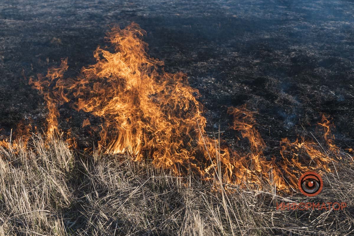 Сейчас спасатели занимаются ликвидацией Сейчас спасатели занимаются ликвидацией
