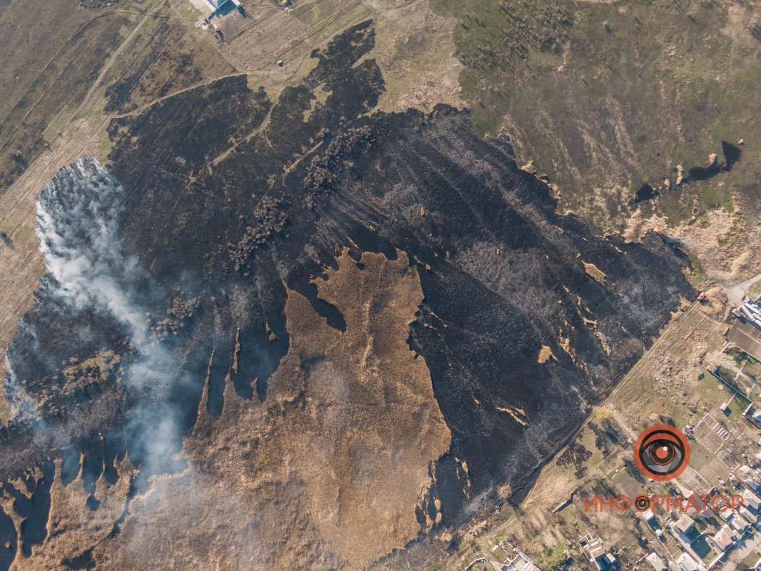 Количество пожаров в экосистемах растет с каждым днем Количество пожаров в экосистемах растет с каждым днем