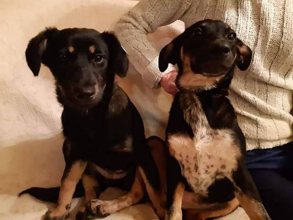 Милые девочки явно заслуживают лучшей жизни