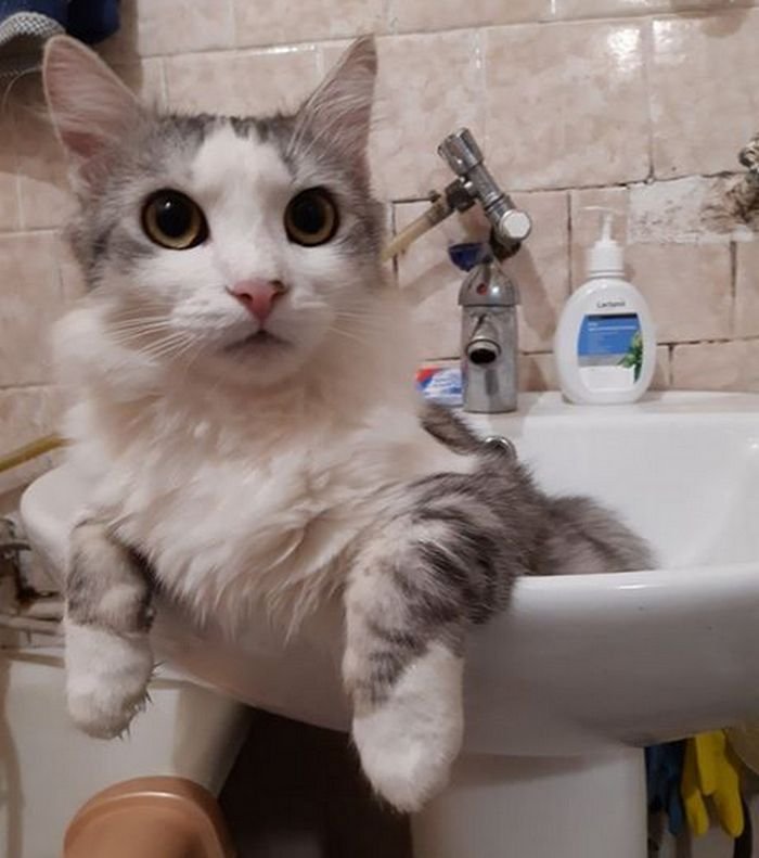 В этих глазах целая Вселенная