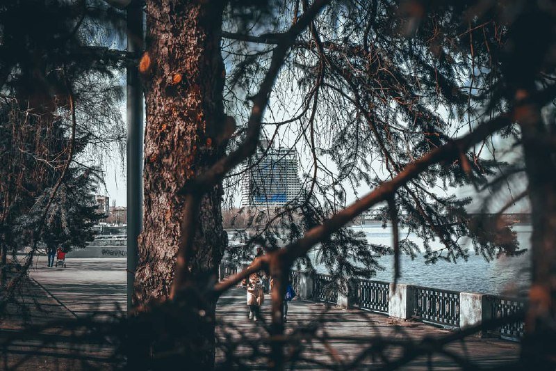 Фото: drunya_7 Фото: drunya_7