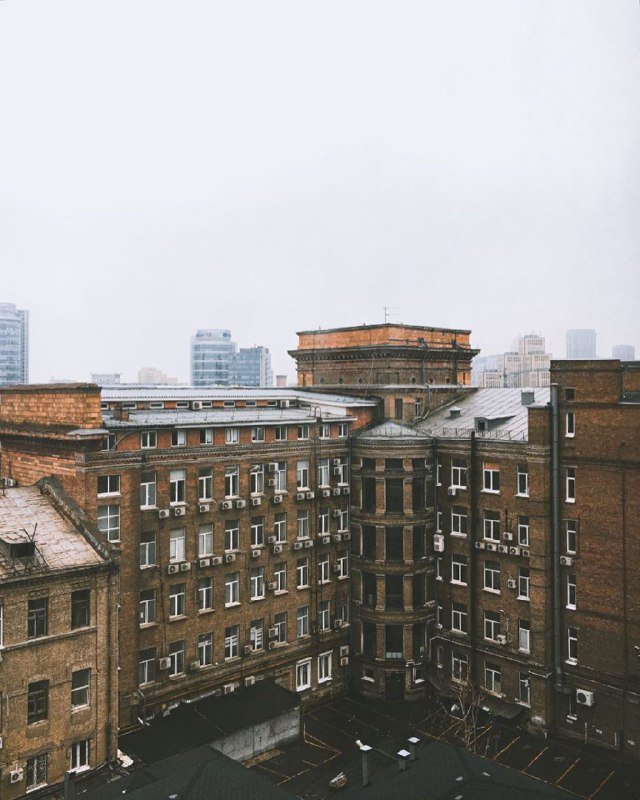 Фото: ann_borovik Фото: ann_borovik