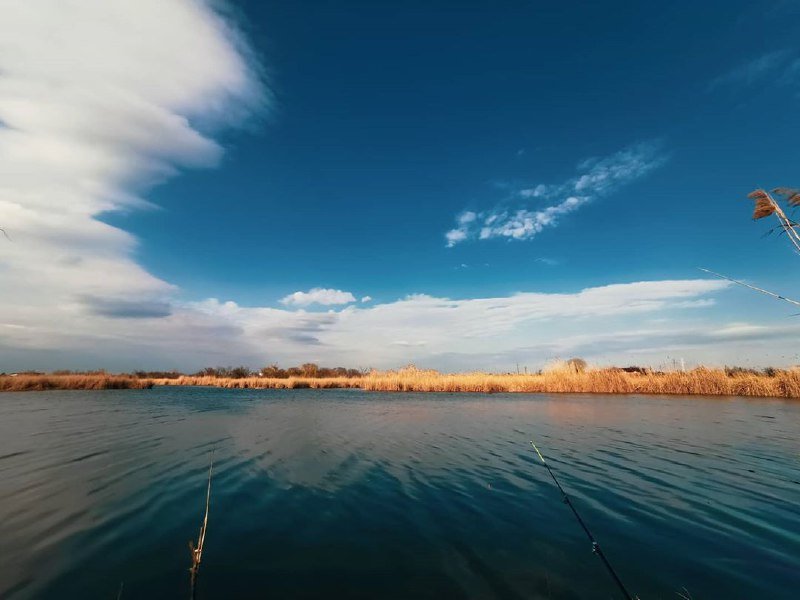 Фото: dneprfotograf Фото: dneprfotograf
