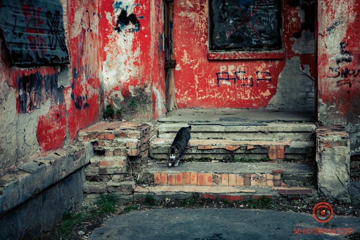 Единственный обитатель Единственный обитатель