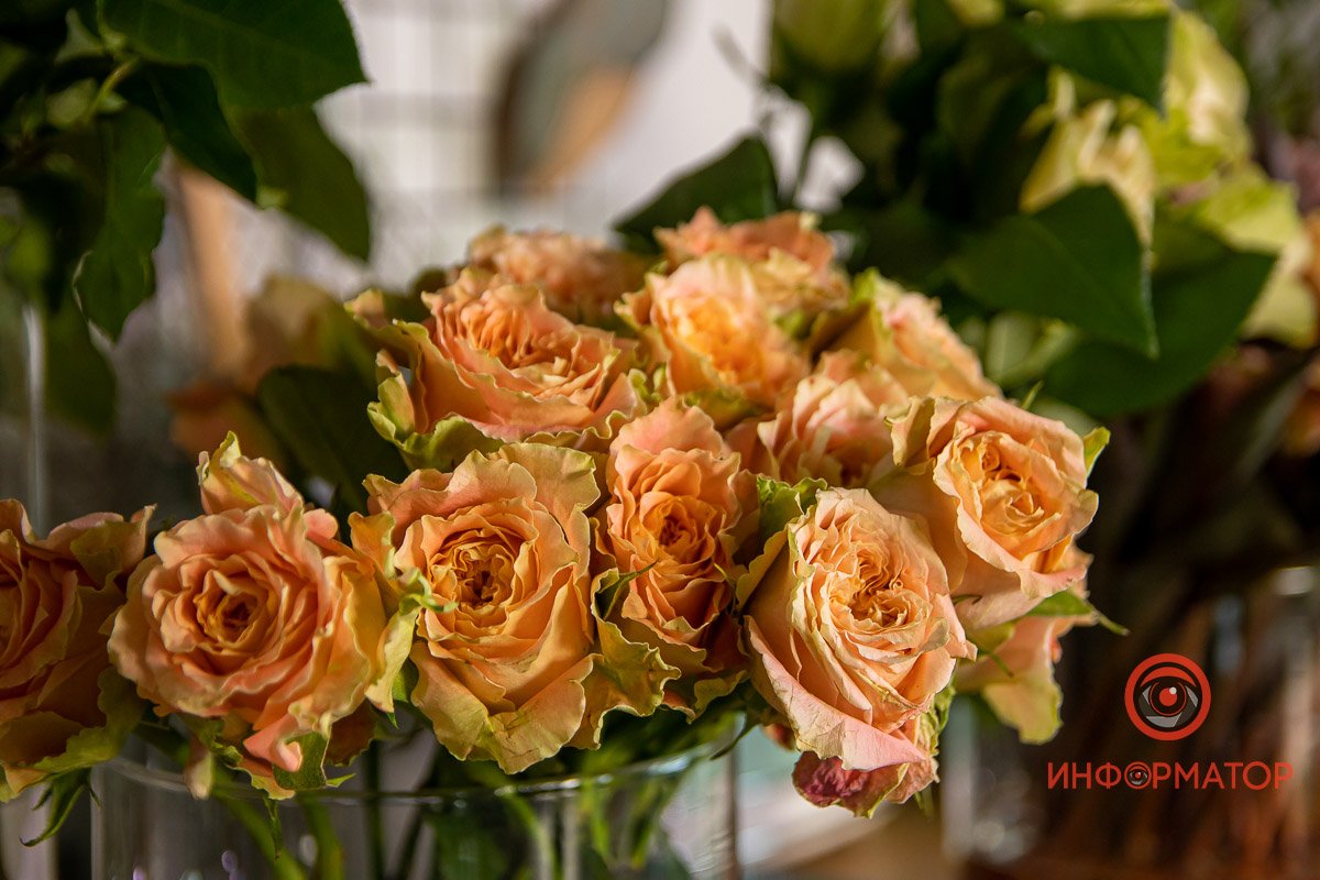 Цветы могут быть интереснее, чем мы привыкли видеть Цветы могут быть интереснее, чем мы привыкли видеть