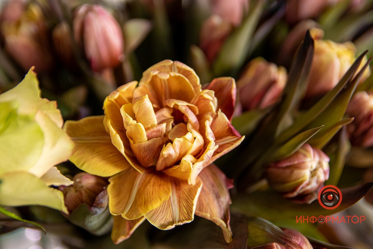 Сюда можно приходить даже просто так Сюда можно приходить даже просто так